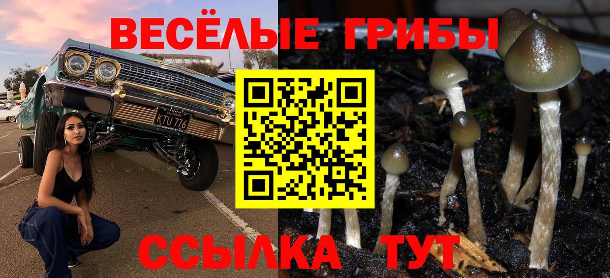 наркотики  Вход с VPN  Кашира  Псилоцибиновые грибы мухоморы 
